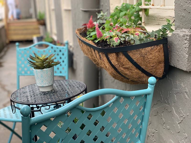 Whiskers Cat Cafe & Coffeehouse