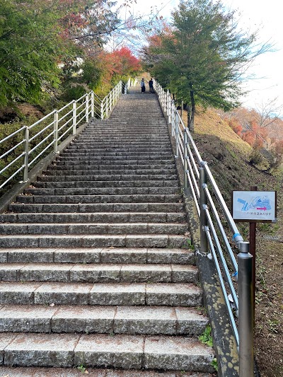 Chureito Pagoda - 4