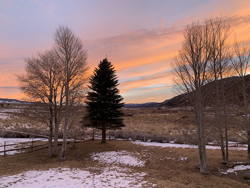 Ely Duck Creek Lodge - Memories Made Here - Photo 1