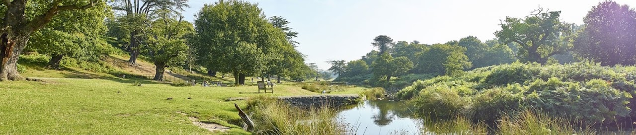 Bradgate Park Leicester