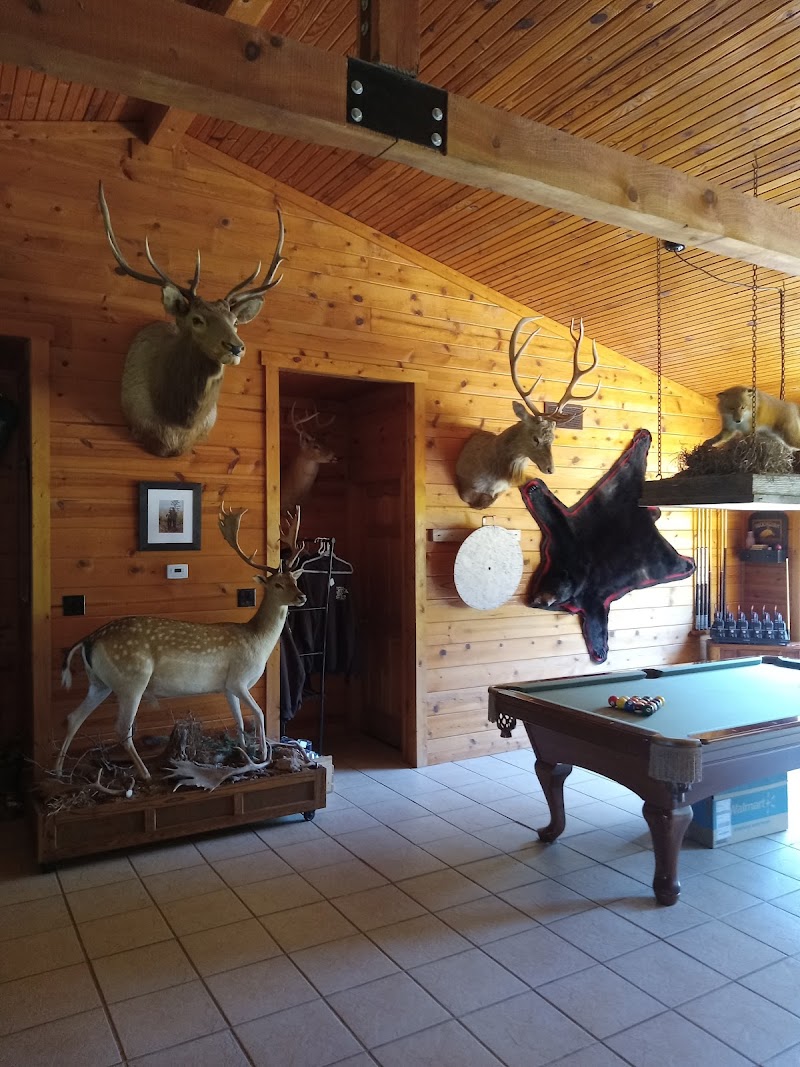 Stone Creek Hunting Ranch - Photo 2