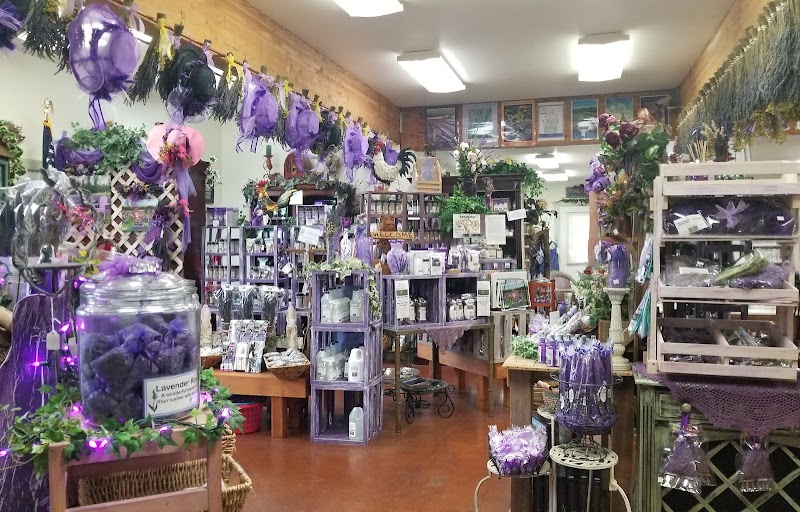 Sunshine Herb & Lavender Farm photo 2
