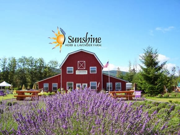 Sunshine Herb & Lavender Farm photo 1