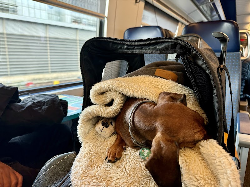 AlegraPet Centro Veterinario