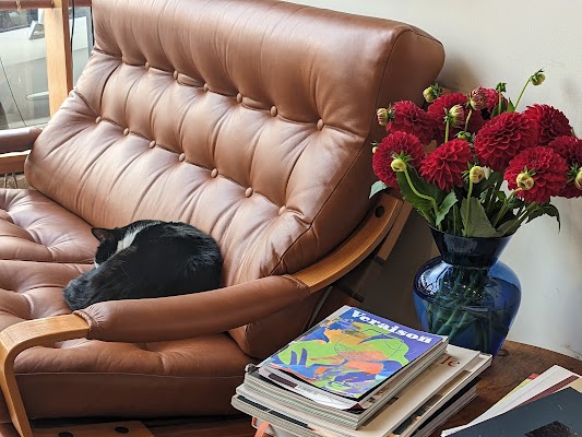 Little Buddha photo 3