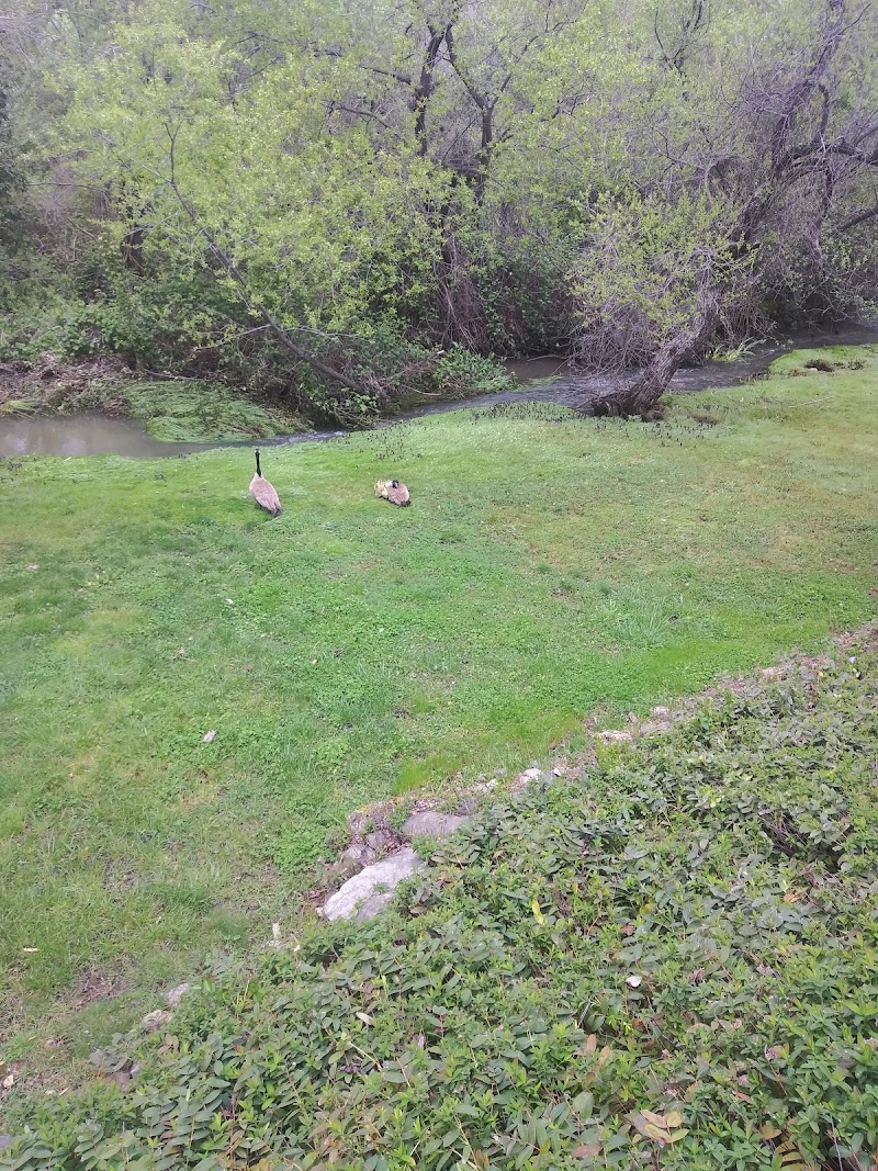 Indian Creek Country Club photo 3