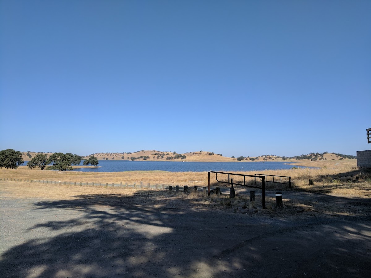 Camanche Hills Hunting Preserve