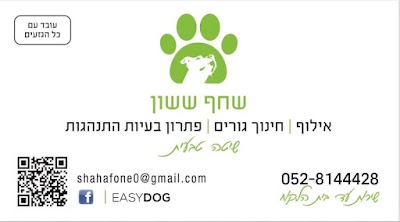 easy dog - אילוף כלבים