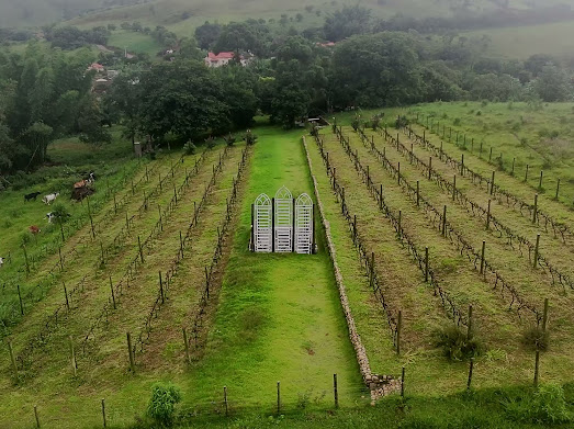 Vinícola Villa Pezzo
