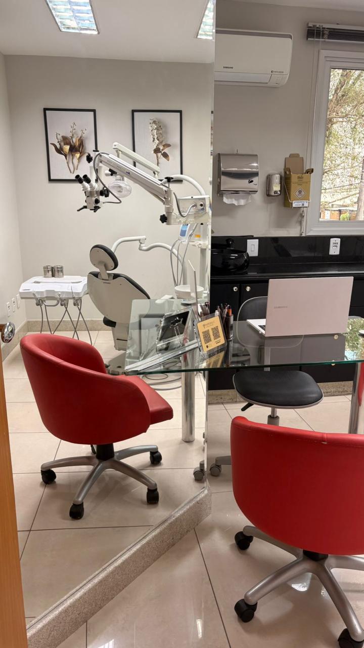 Dra Bia Hastenreiter Genelhu | Endodontista | Tratamento de canal | Alívio da dor de dente - foto 5