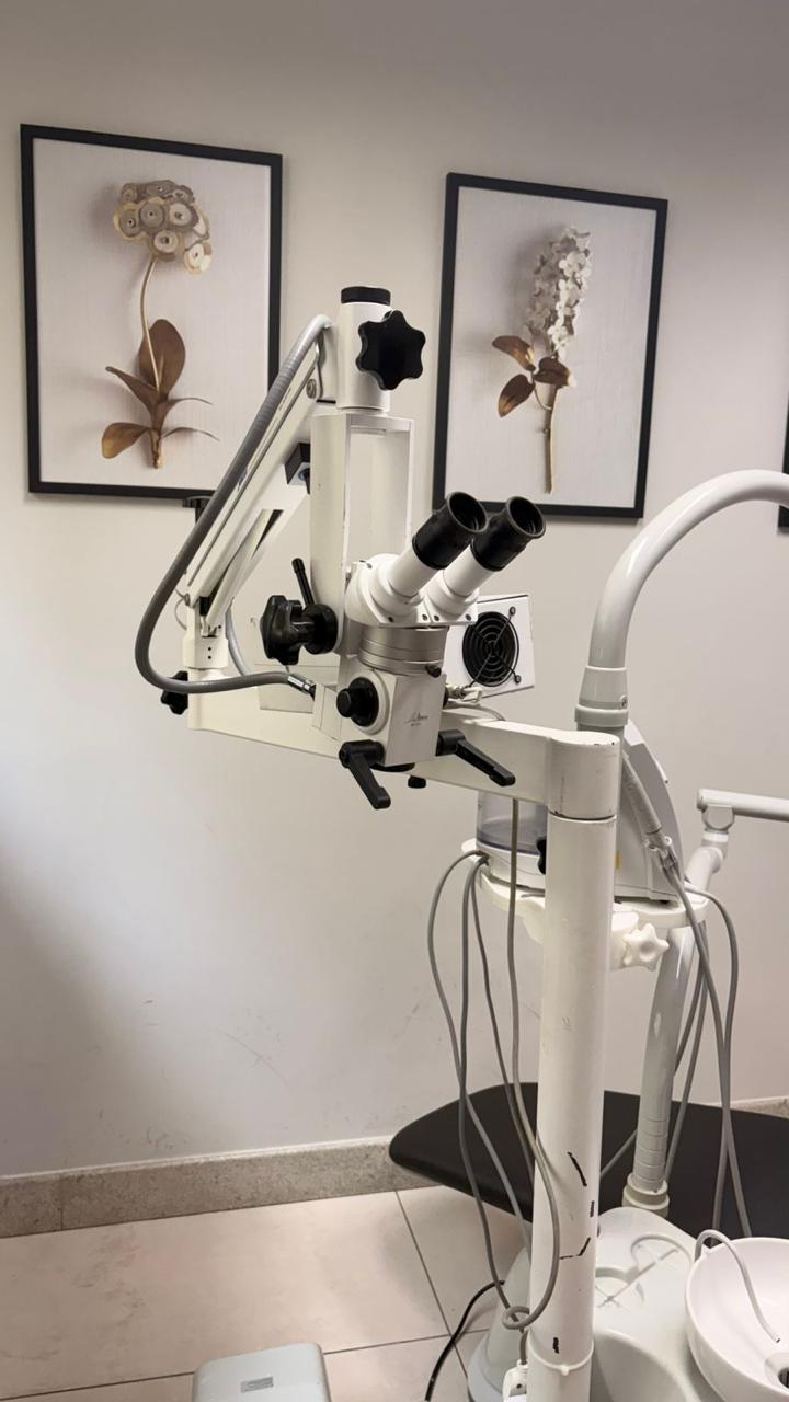 Dra Bia Hastenreiter Genelhu | Endodontista | Tratamento de canal | Alívio da dor de dente - foto 3