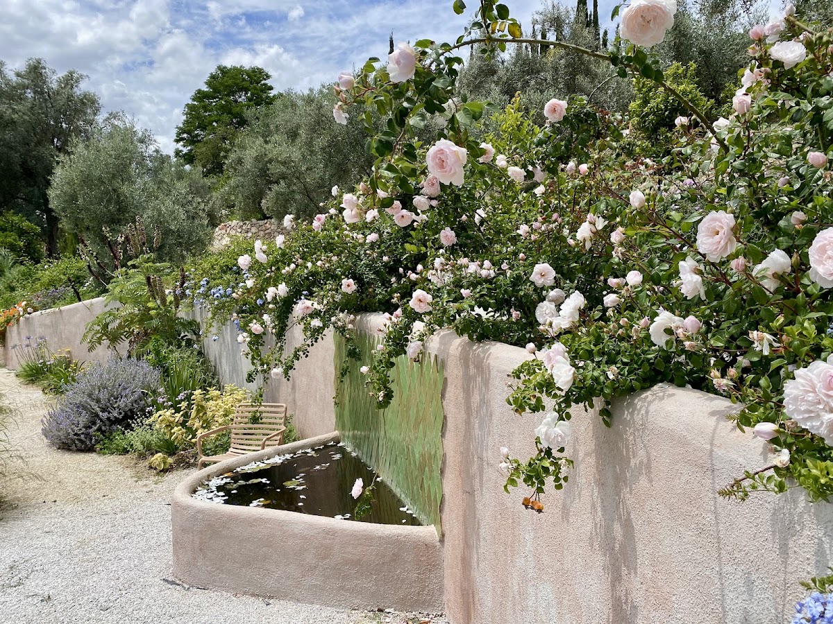 Garden of Lemons — 3