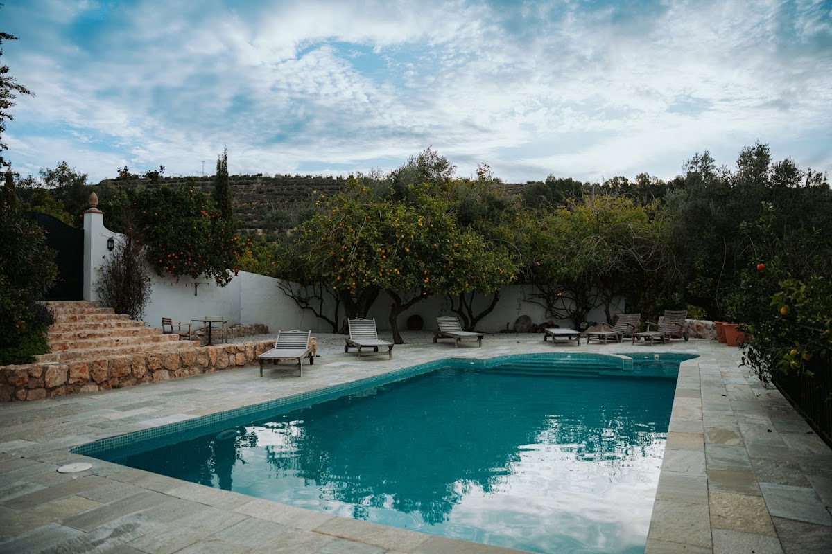 Garden of Lemons — 4