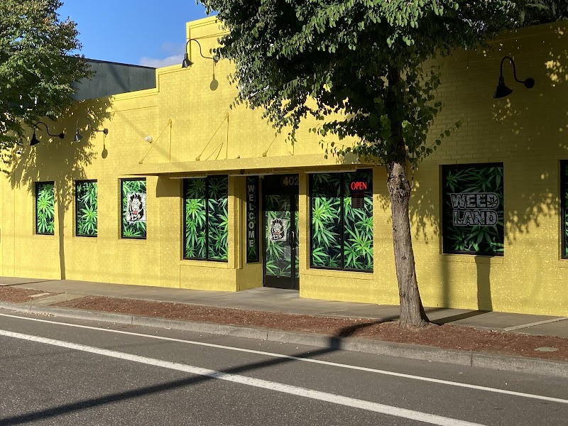 Video tour of Portland Dispensary - Weed Land retail environment