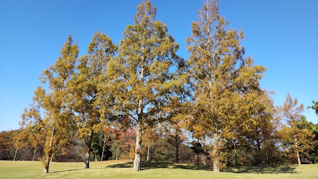 Tottori Country Club Yoshioka Onsen Course - Photo 10