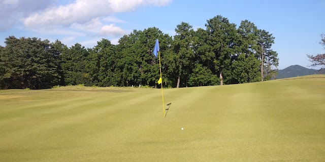 Nihon Diamond Golf Club - Photo 5
