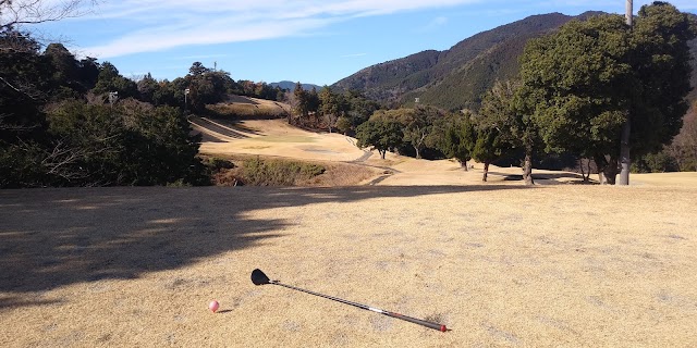 Nihon Diamond Golf Club - Photo 10