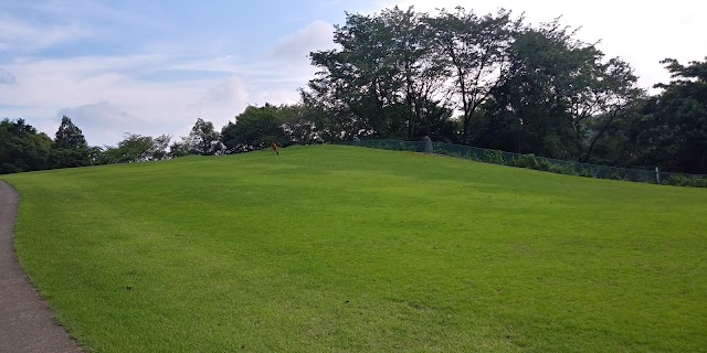 Nihon Diamond Golf Club - Photo 7