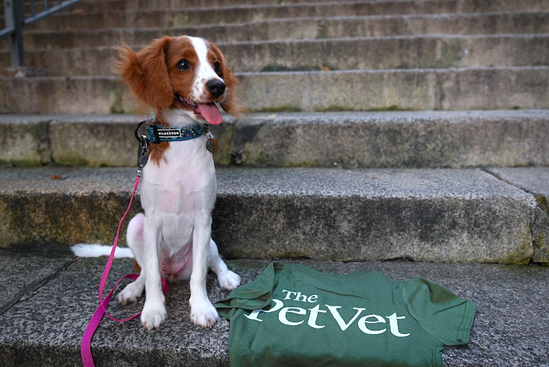 The Pet Vet