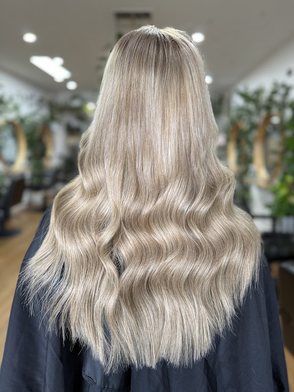 Ryleestewart blondespecialist photo 1