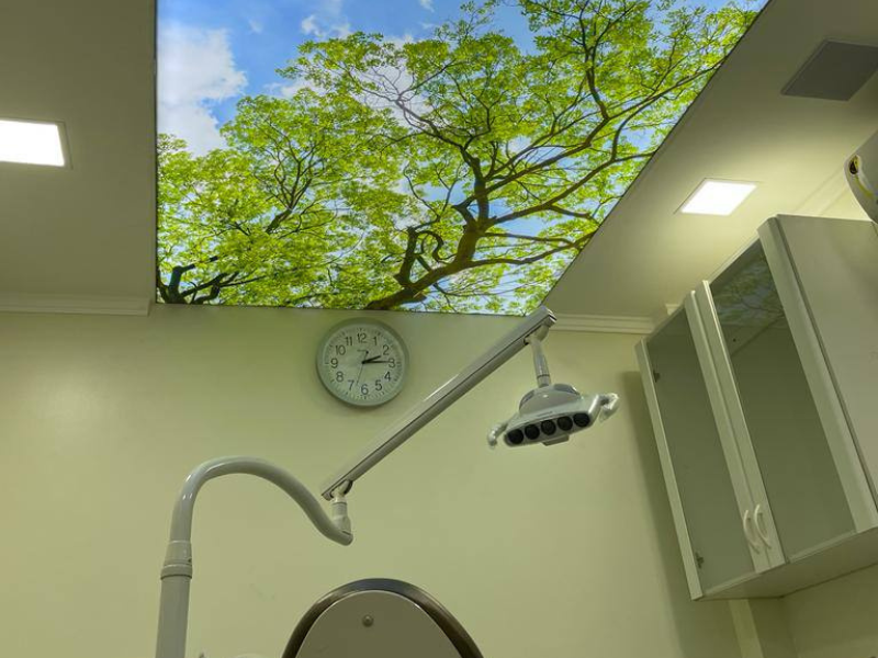 Dr. Luiz Paulo Boschini - foto 4