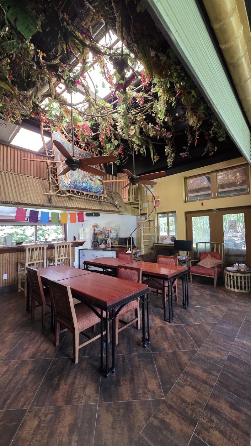 Elixir Bar & Cafe photo 4