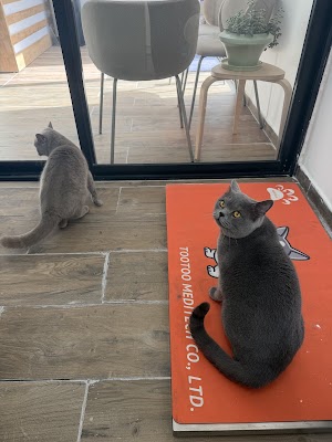 MarVet veterinary clinic