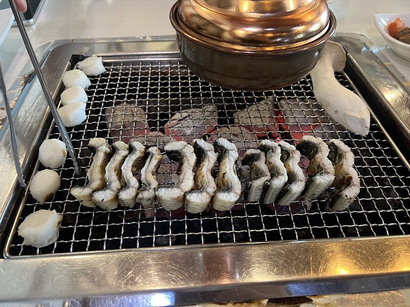 키키펫 사진 5