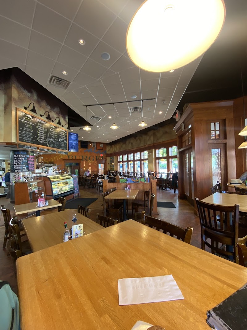 Dog Lane Café photo 3