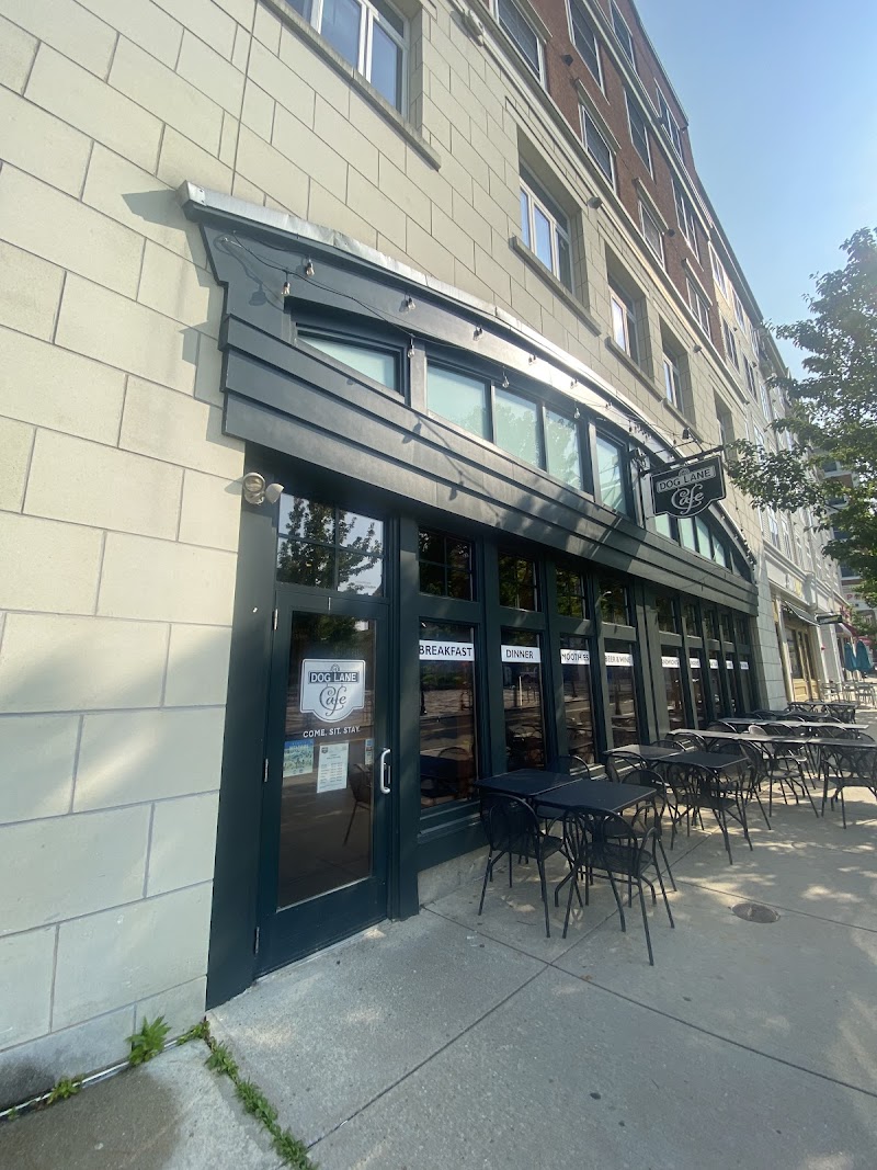 Dog Lane Café photo 4