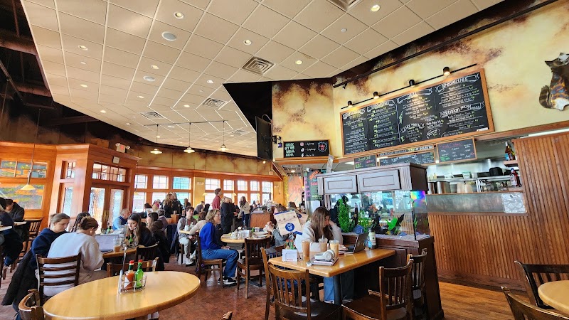 Dog Lane Café photo 3