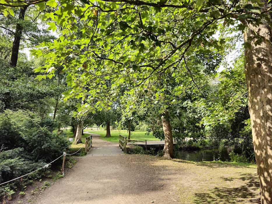Bushy Park fotoğraf 1