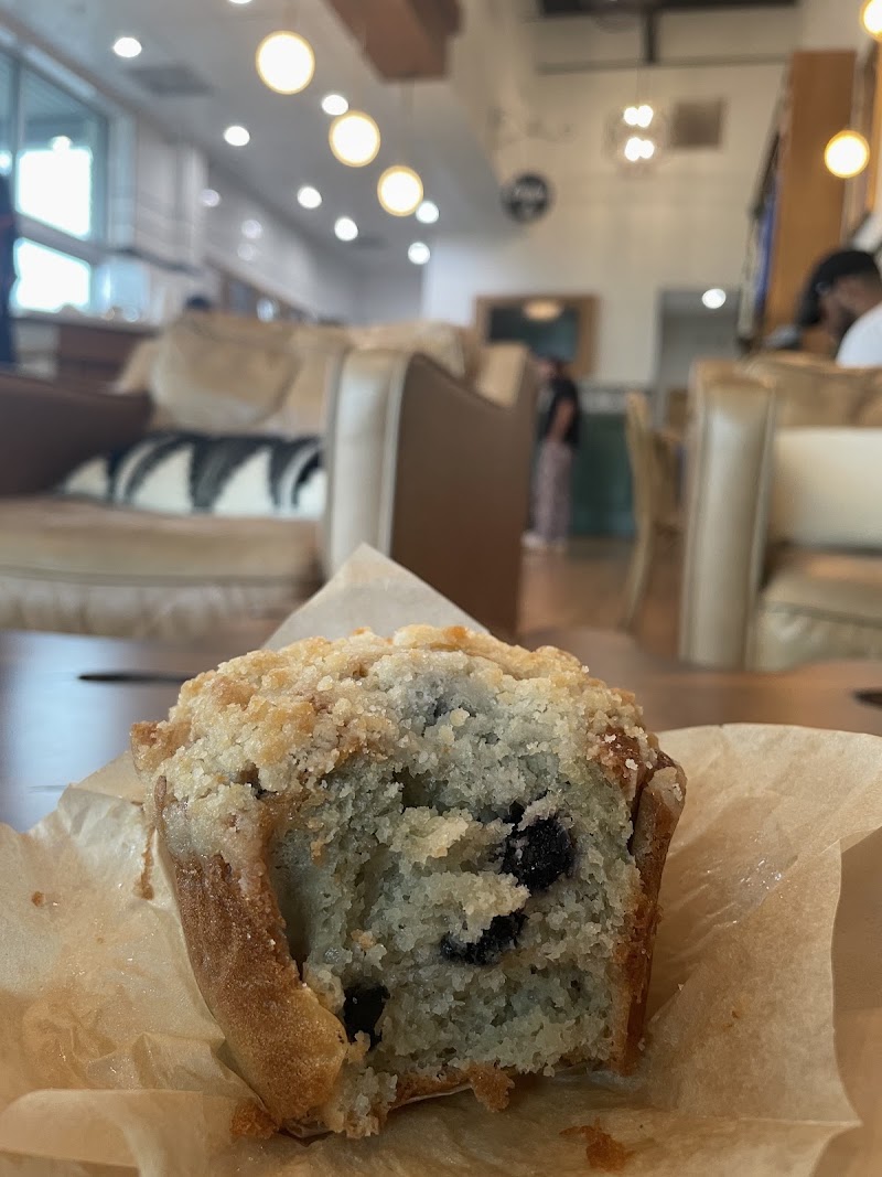 Summer Moon Coffee photo 2