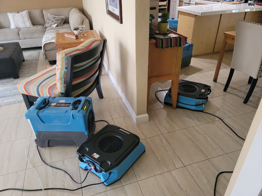 FL Cleanup — photo