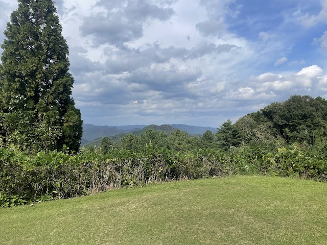 Ako International Country Club - Photo 9