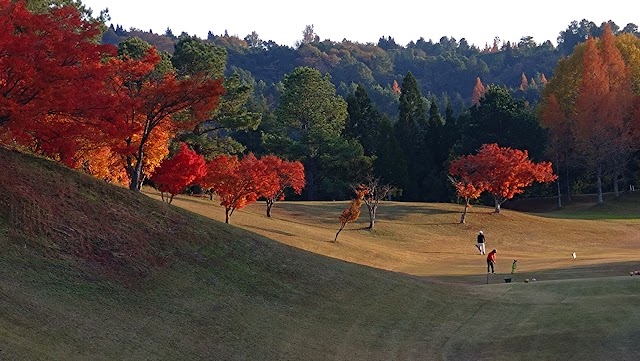 Ako International Country Club - Photo 7