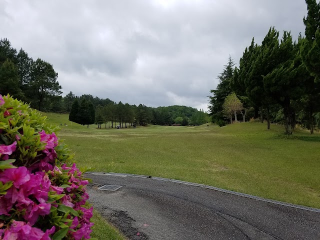 Ako International Country Club - Photo 6