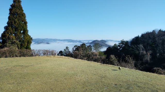 Ako International Country Club - Photo 8