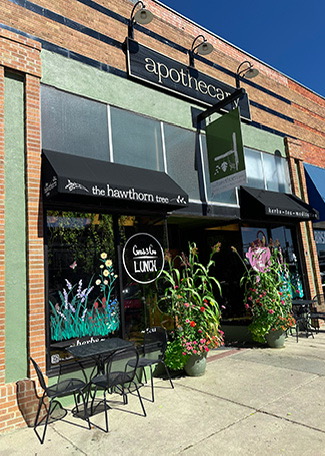 The Hawthorn Tree photo 4