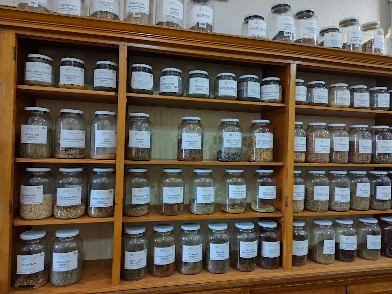 The Hawthorn Tree photo 3