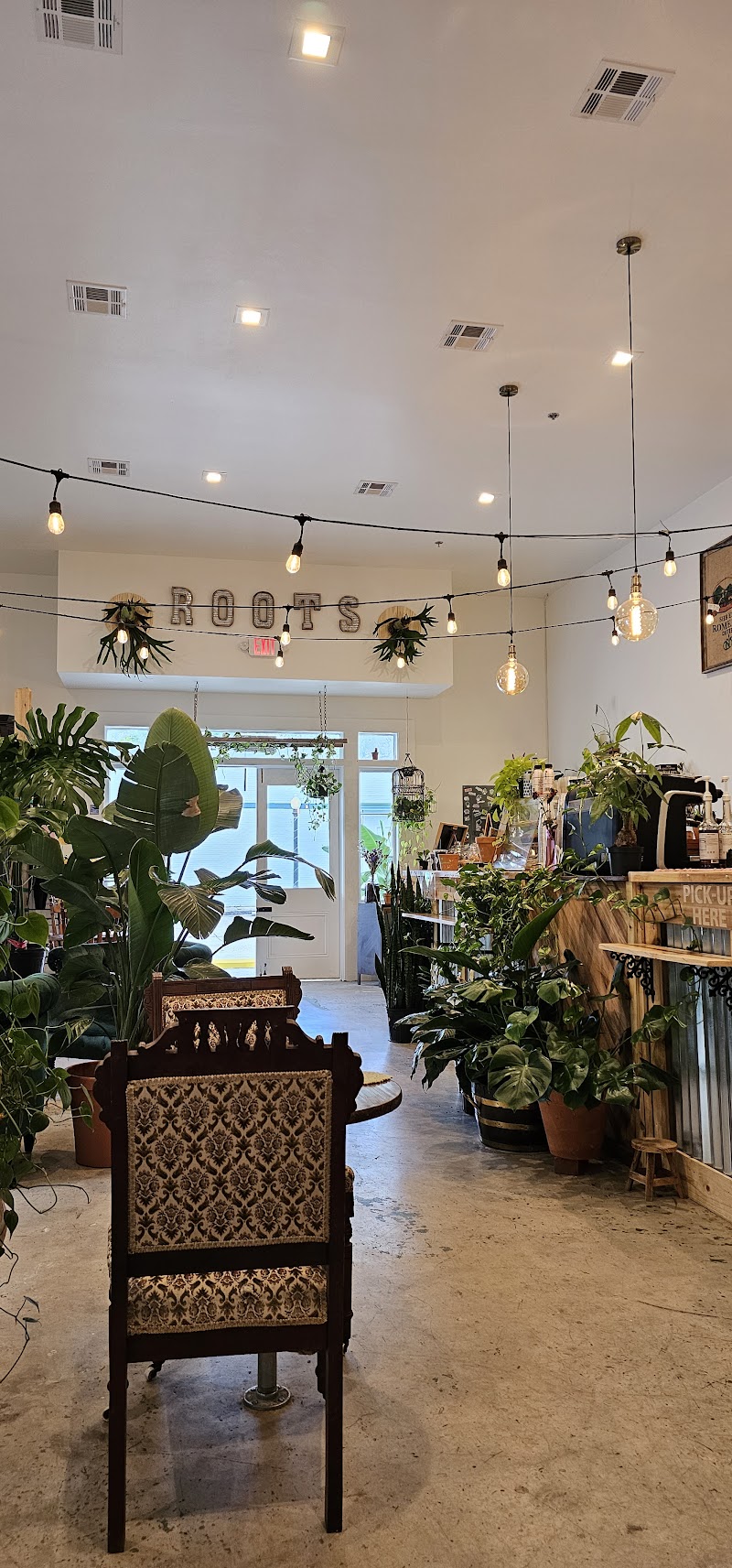 Roots Plants + Coffee photo 1