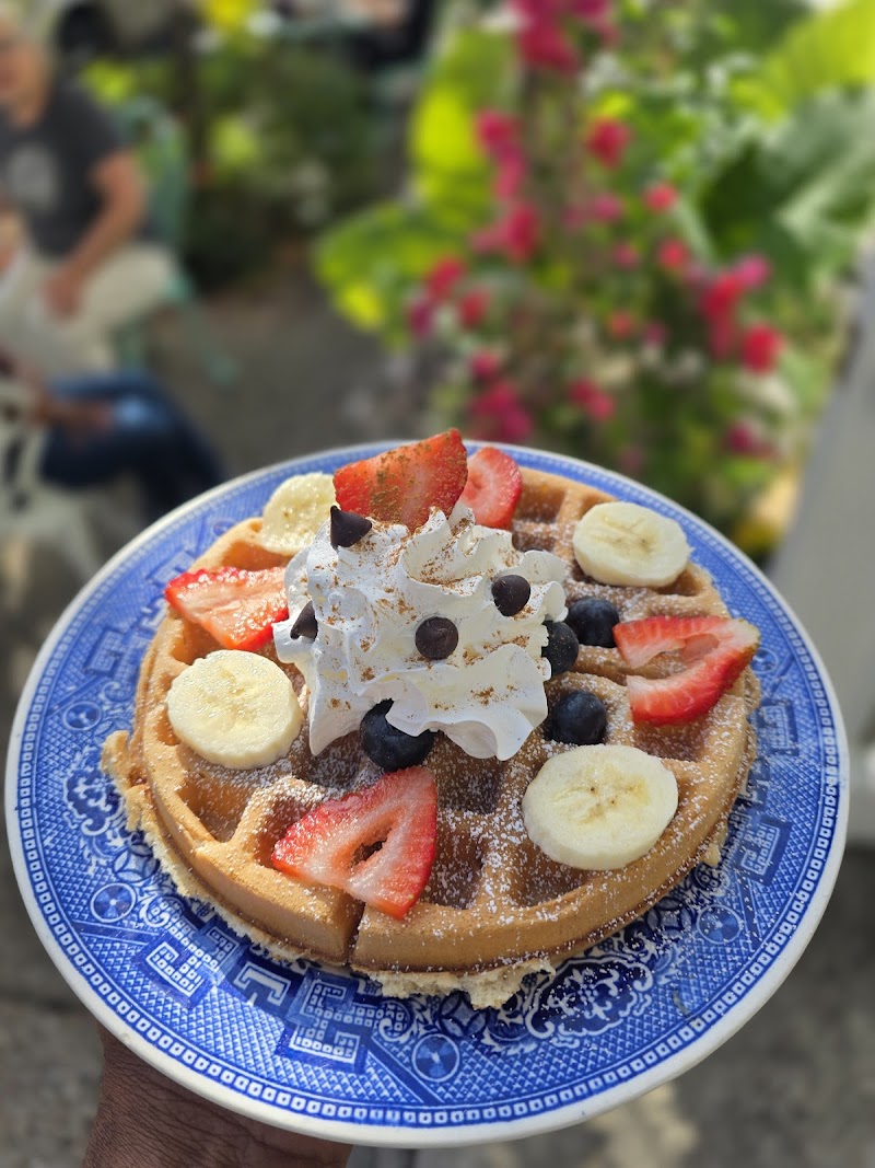 Roots Plants + Coffee photo 2