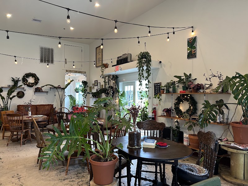 Roots Plants + Coffee photo 3