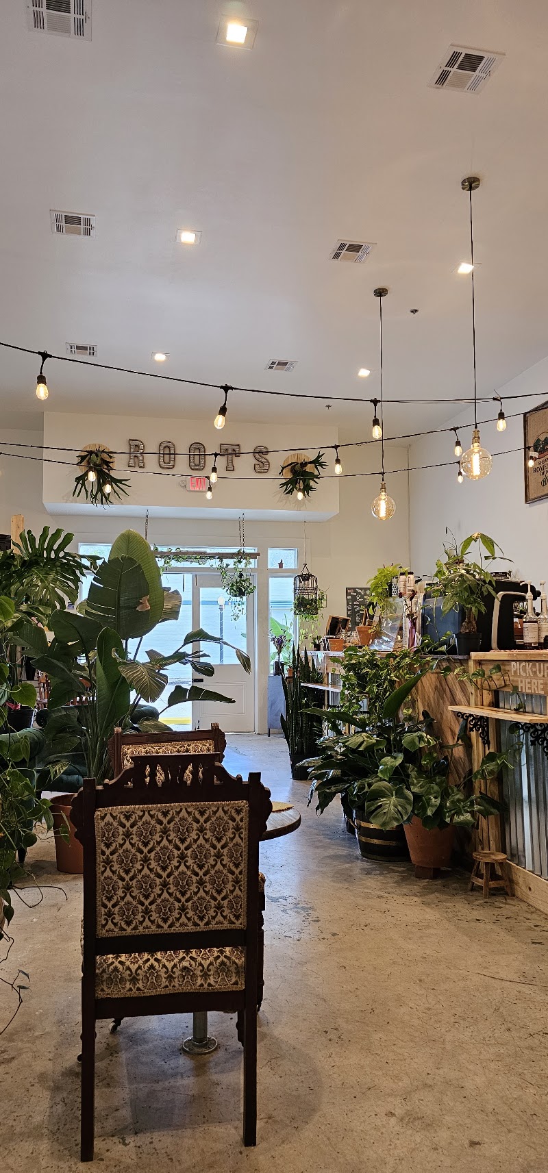 Roots Plants + Coffee photo 1
