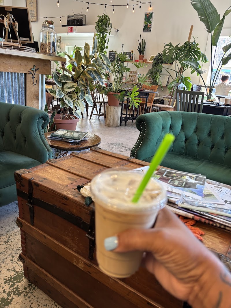 Roots Plants + Coffee photo 4
