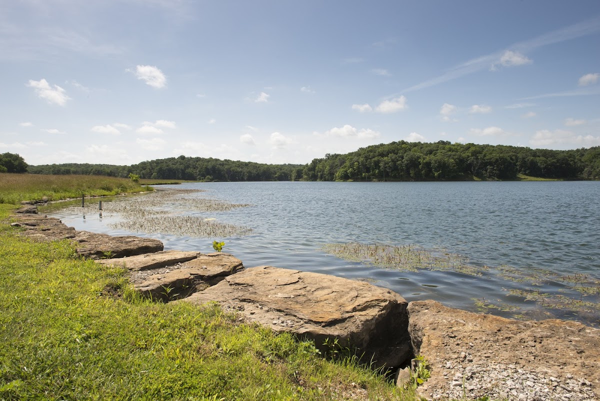 Timber Hills Lake Ranch