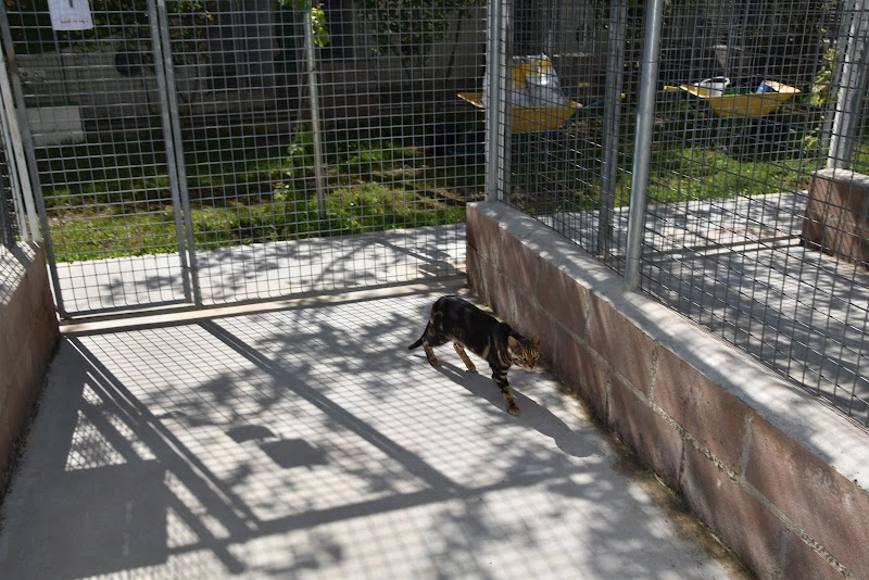 Granja la Luna residencia canina gatos en Madrid (Oficina)