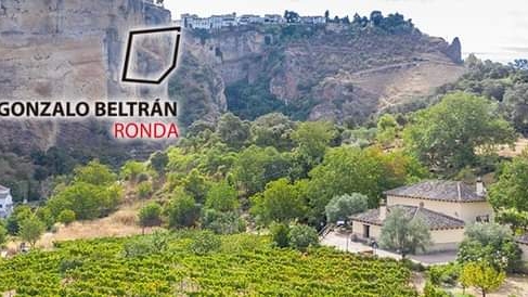 Bodega Gonzalo Beltrán Finca La Nogalera