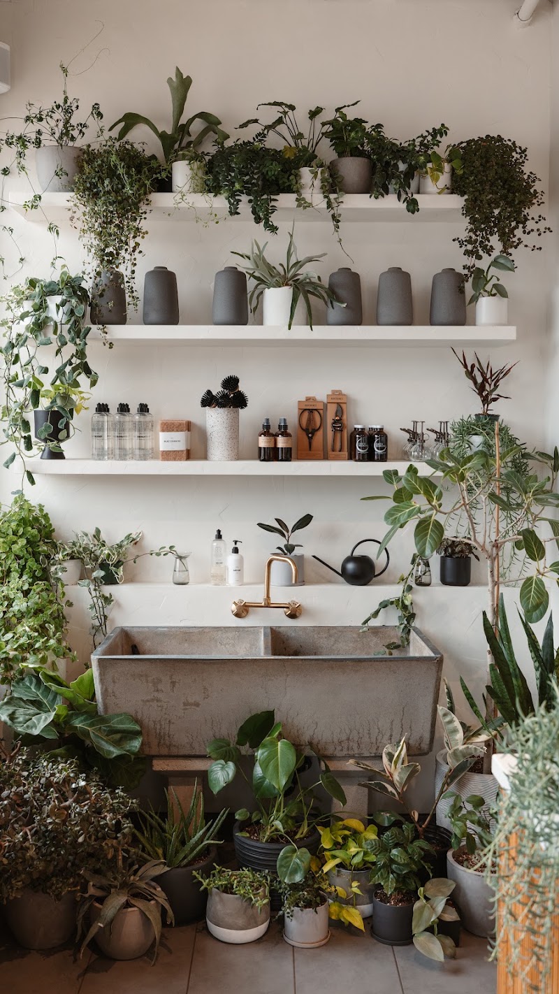 Forage General Florist photo 4
