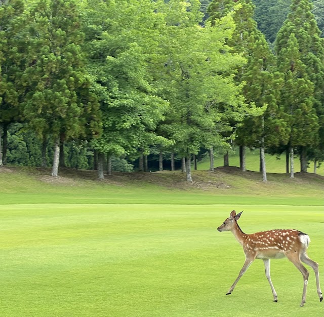 JOYX Golf Club Kozuki Course - Photo 5